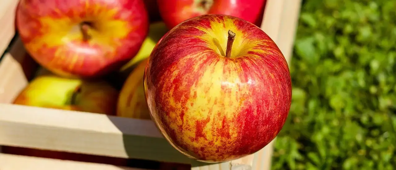 Hvilke forskellige størrelser findes der af trækasser?