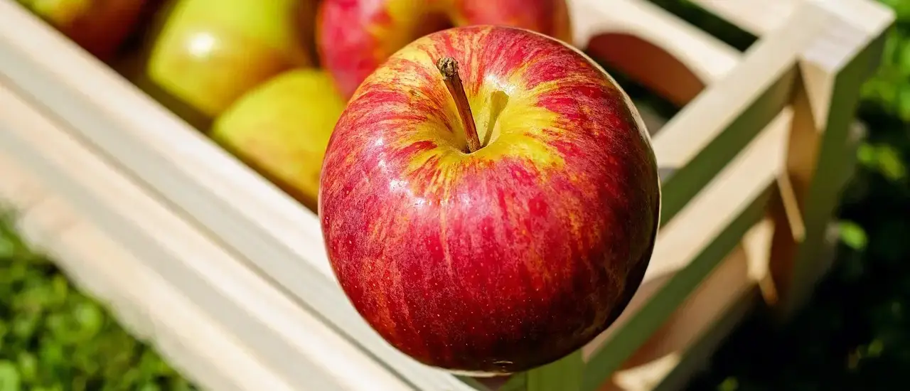 Kan man stable trækasser?